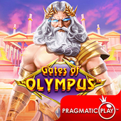 Cổng Olympus 78wln